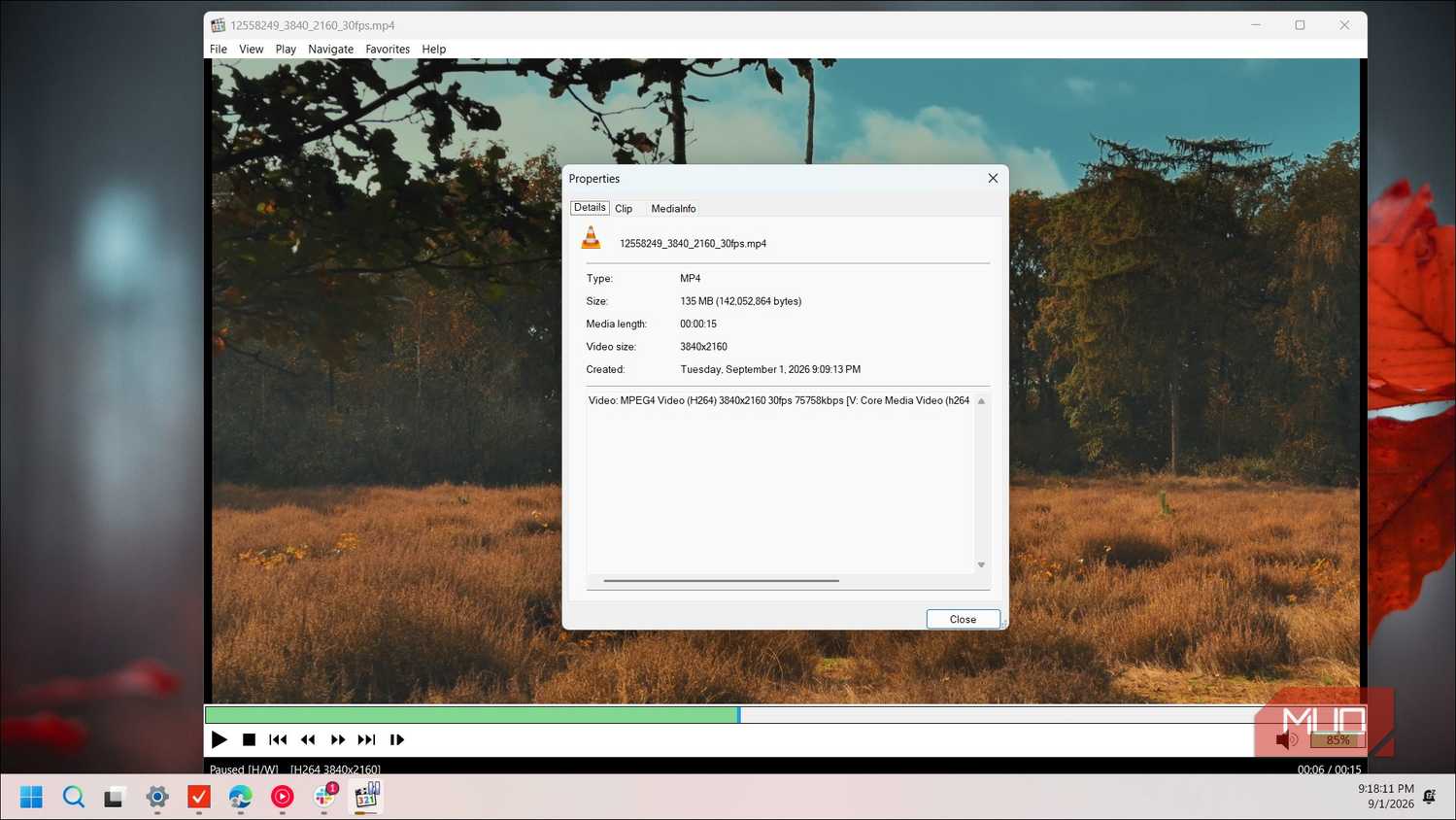 mpc hc video player properties dialog showing forest landscape video file details