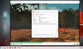 mpc hc video player properties dialog showing forest landscape video file details