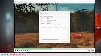 mpc hc video player properties dialog showing forest landscape video file details