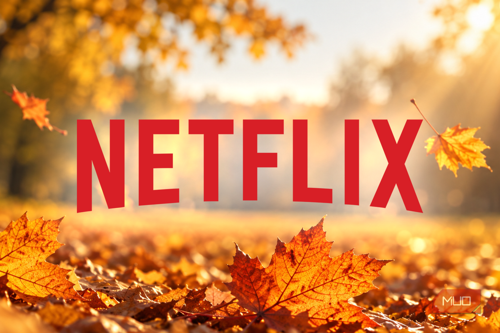 Netflix logo surrounded by autumn leaves in warm sunlight.