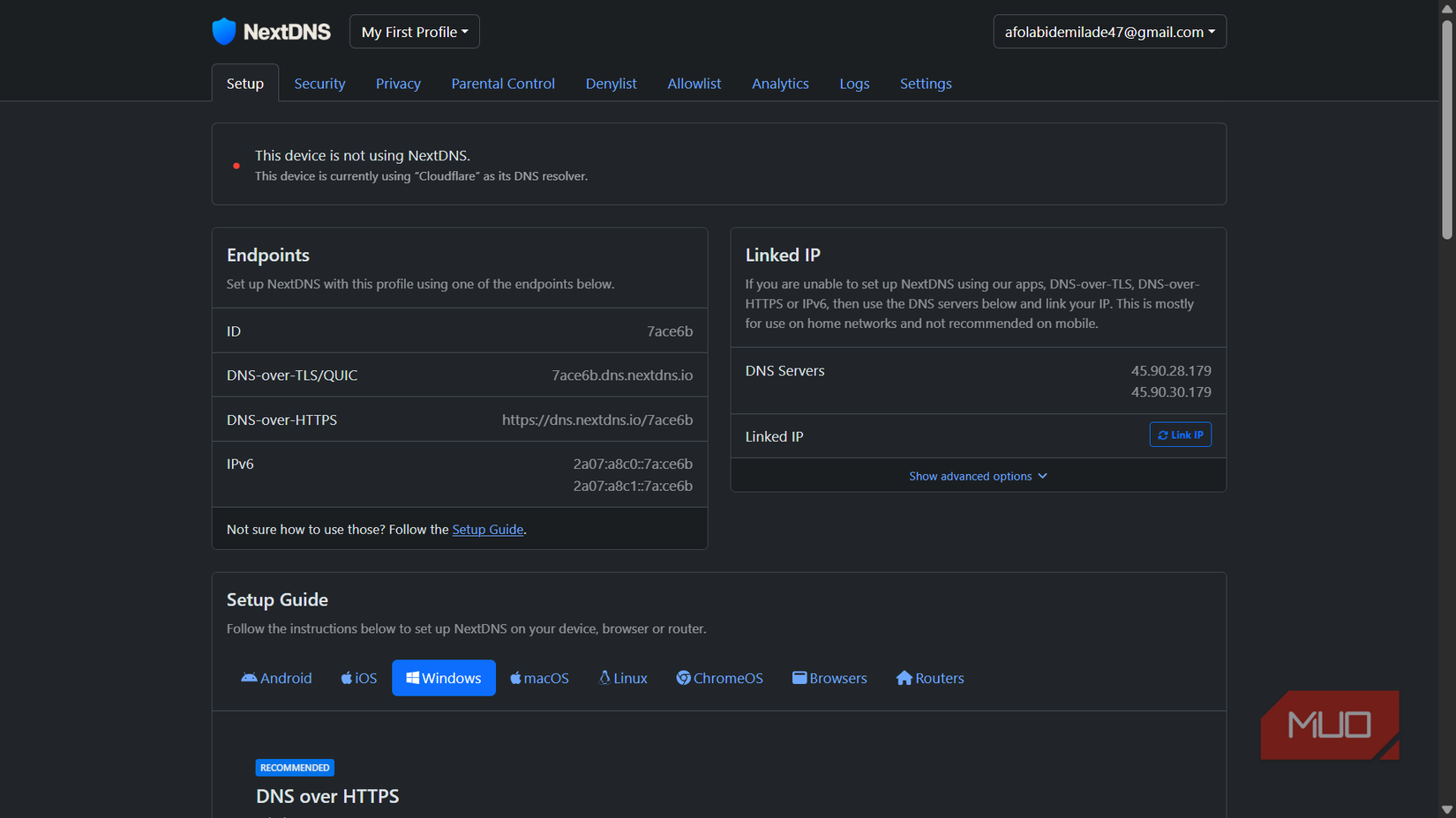 NextDNS Setup and endpoint page.