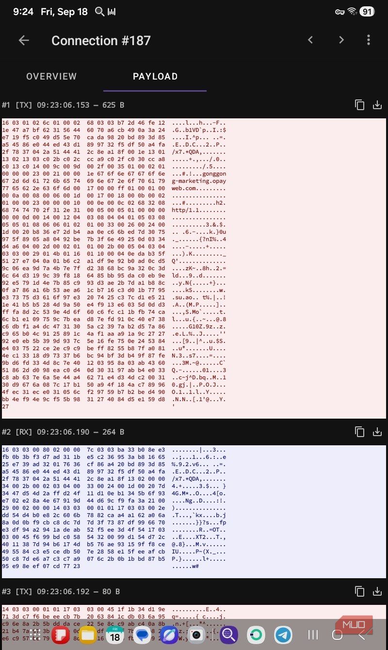 OPay connection payload noise