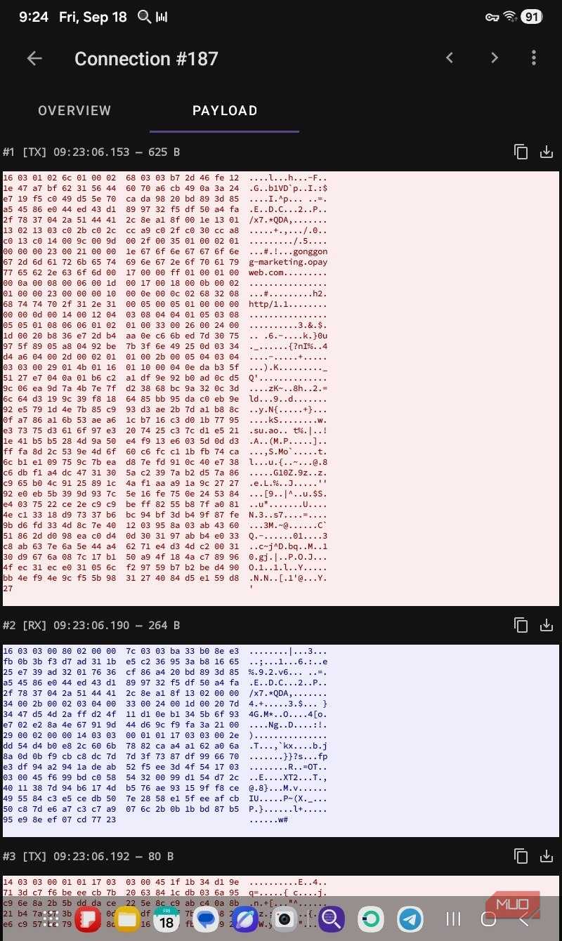 OPay connection payload noise