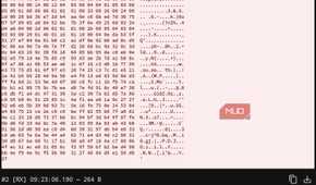 OPay connection payload noise
