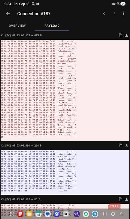 OPay connection payload noise