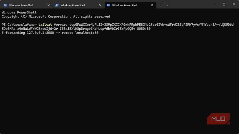 Переадресація портів на Tailnet