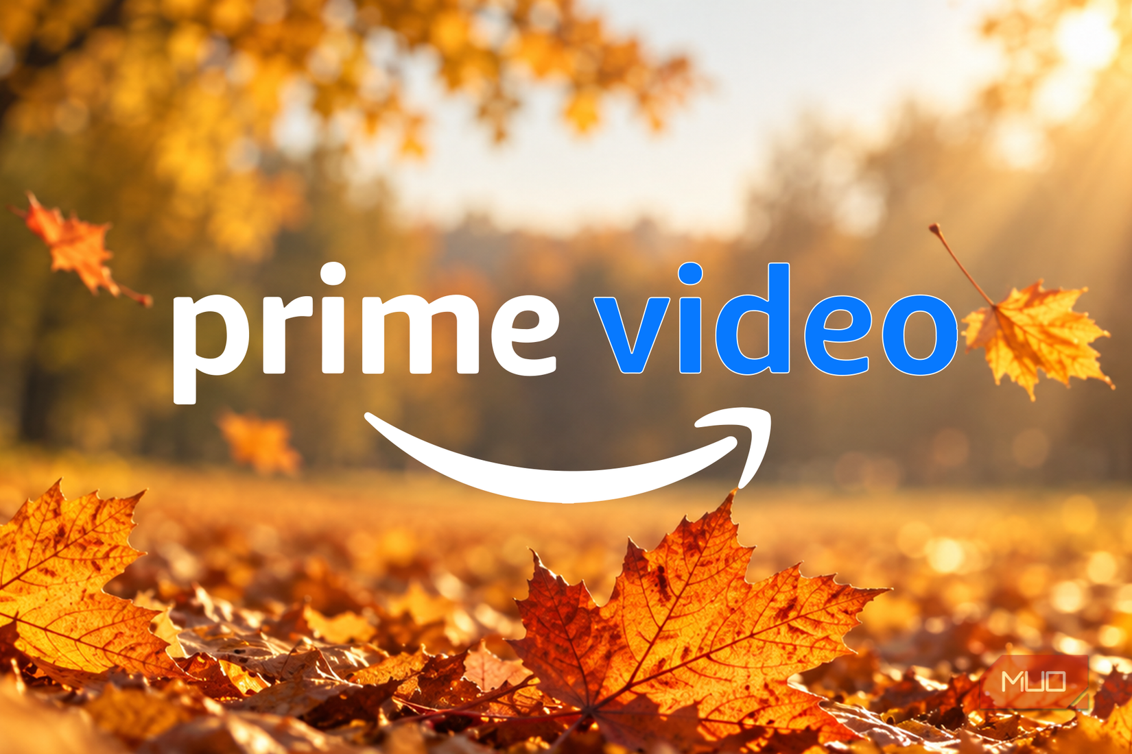 Prime Video logo surrounded by autumn leaves in warm sunlight.