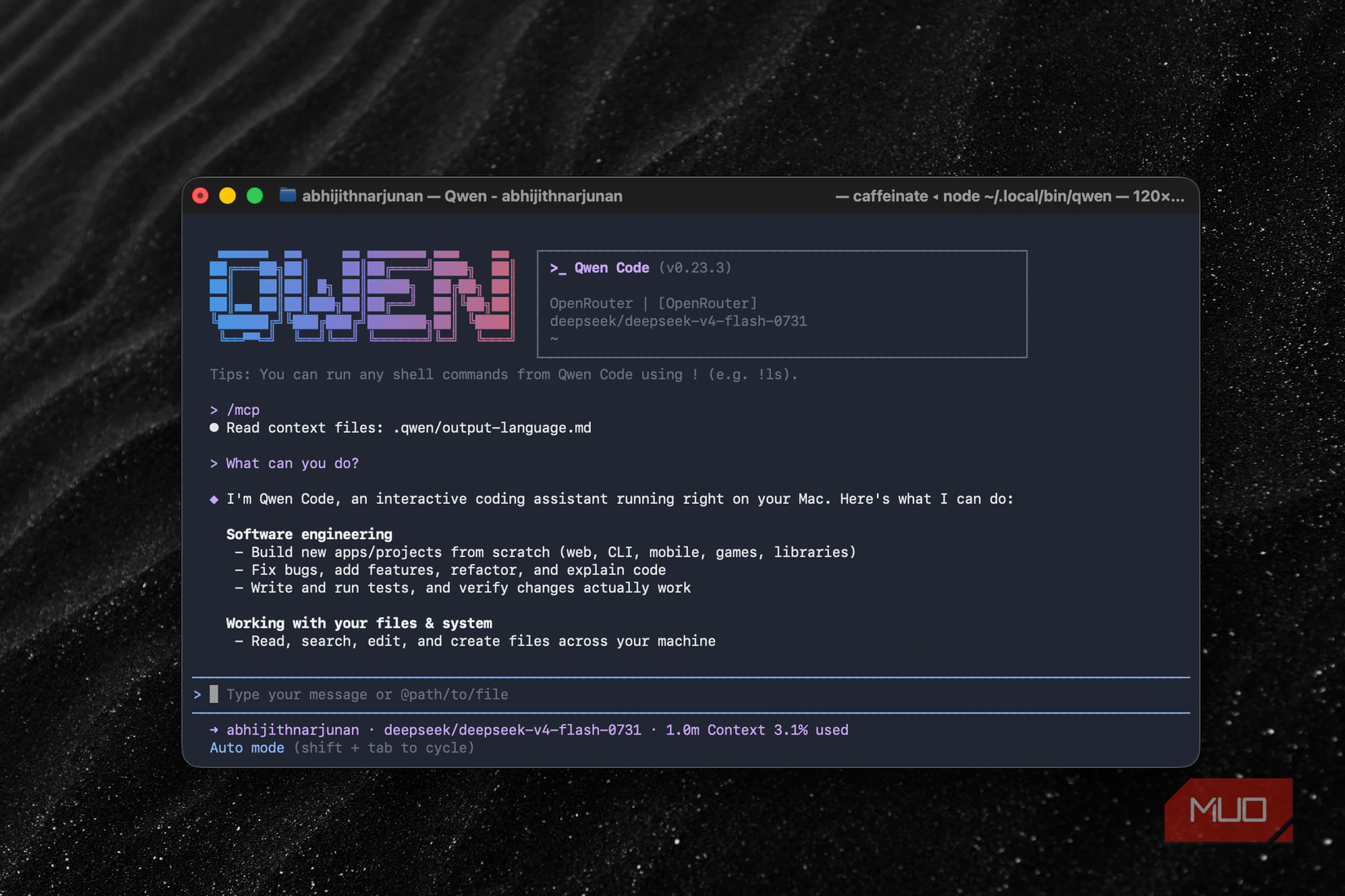 Qwen Code showing the starting UI