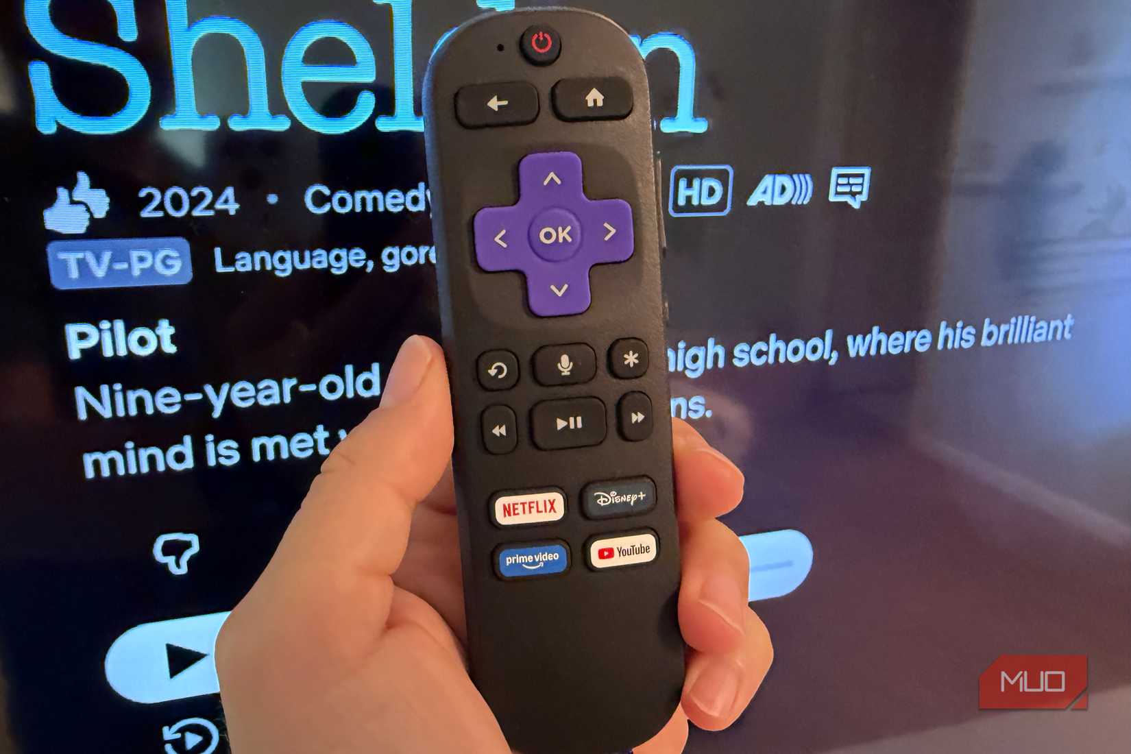 roku remote against roku tv