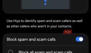 Samsung Caller ID and spam protection settings