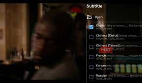 a screenshot of subtitle options on mx player on android