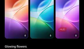 a screenshot of vivo's built in wallpaper feature
