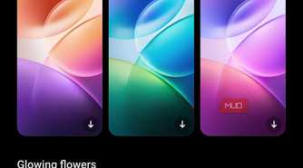 a screenshot of vivo's built in wallpaper feature