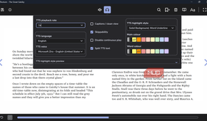 Text to speech settings menu in ebook reader