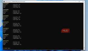 The query command in ViVeTool