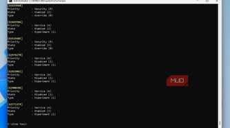 The query command in ViVeTool