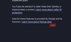 a screenshot showing the toggle for seeing caller and spam ID