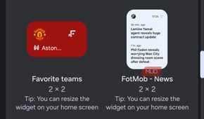 Widget choices and previews