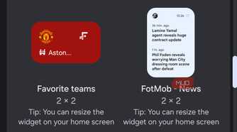 Widget choices and previews