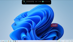 windows 11 blue abstract flower wallpaper with music player overlay