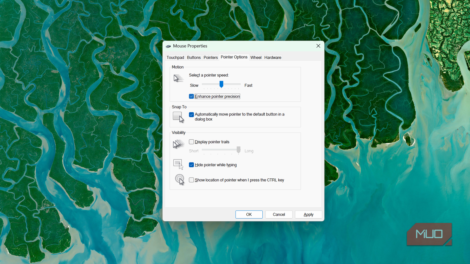 Windows mouse properties pointer options settings window (2)