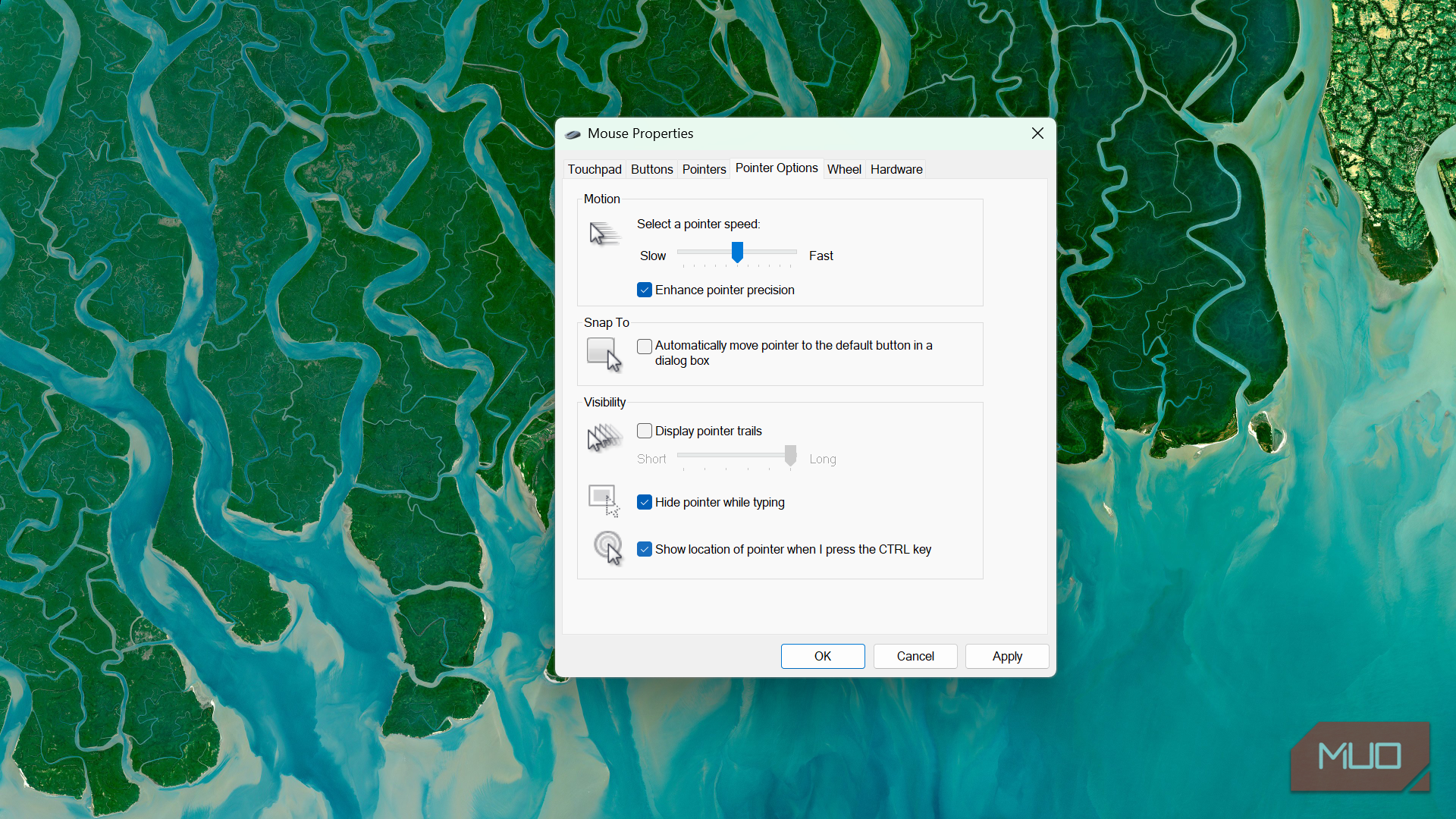 Windows mouse properties pointer options settings window (3)