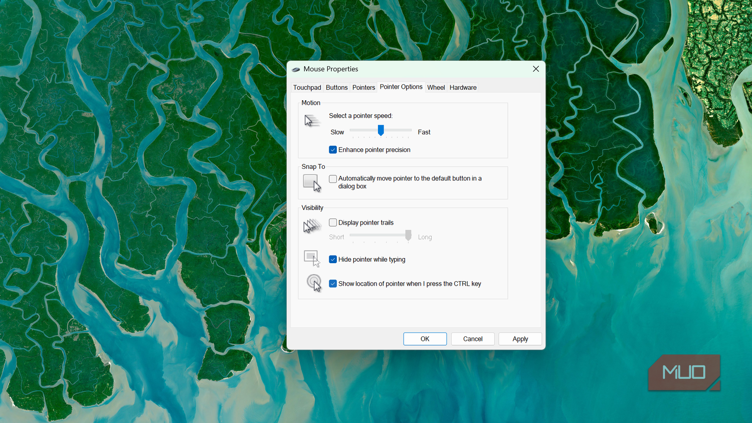 Windows mouse properties pointer options settings window (3)