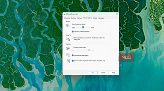 Windows mouse properties pointer options settings window (3)