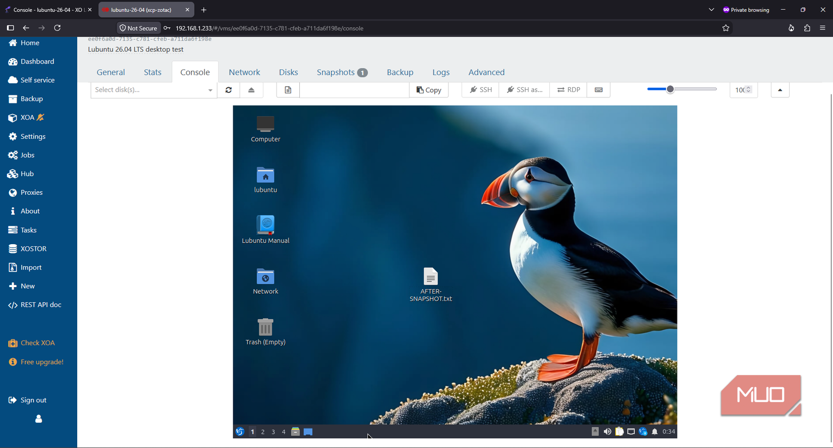 Lubuntu with a changed wallpaper and test file created after an XCP-ng snapshot