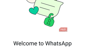 a screenshot of whatsapp on pixel 8