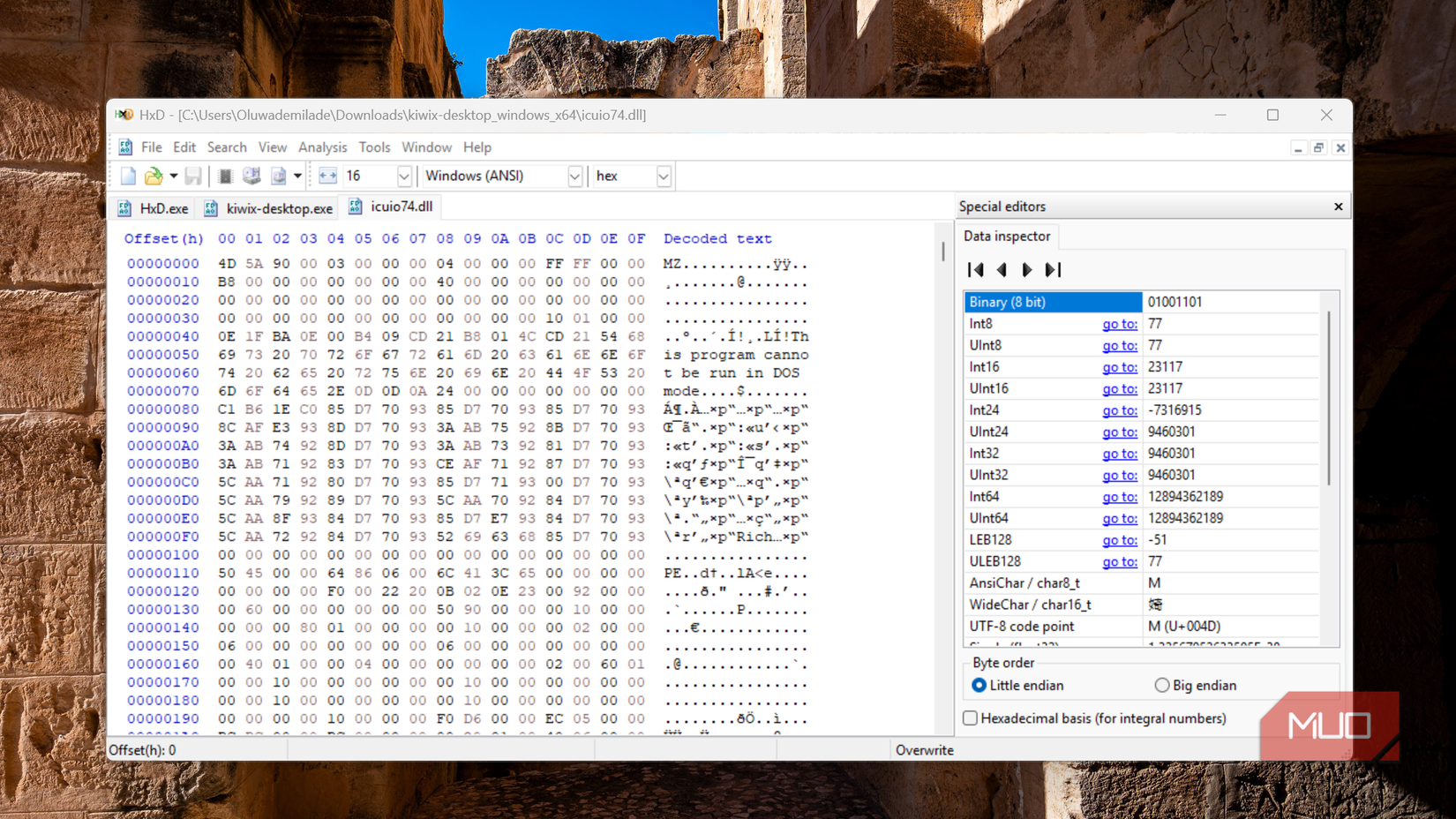 A dll file showing MZ, DOS text, and PE