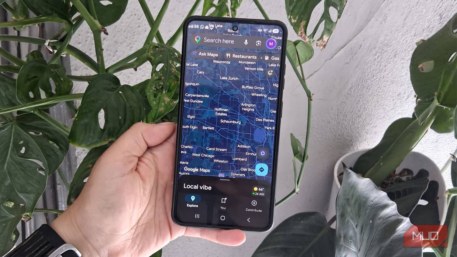 A hand holding a phone displaying Ask Maps in Google Maps in front of leafy plants