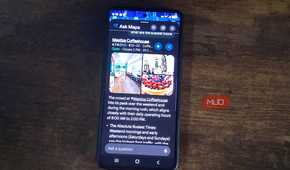 Google Maps Ask Maps showing the busiest hours for Mestiza Coffehouse on a smartphone