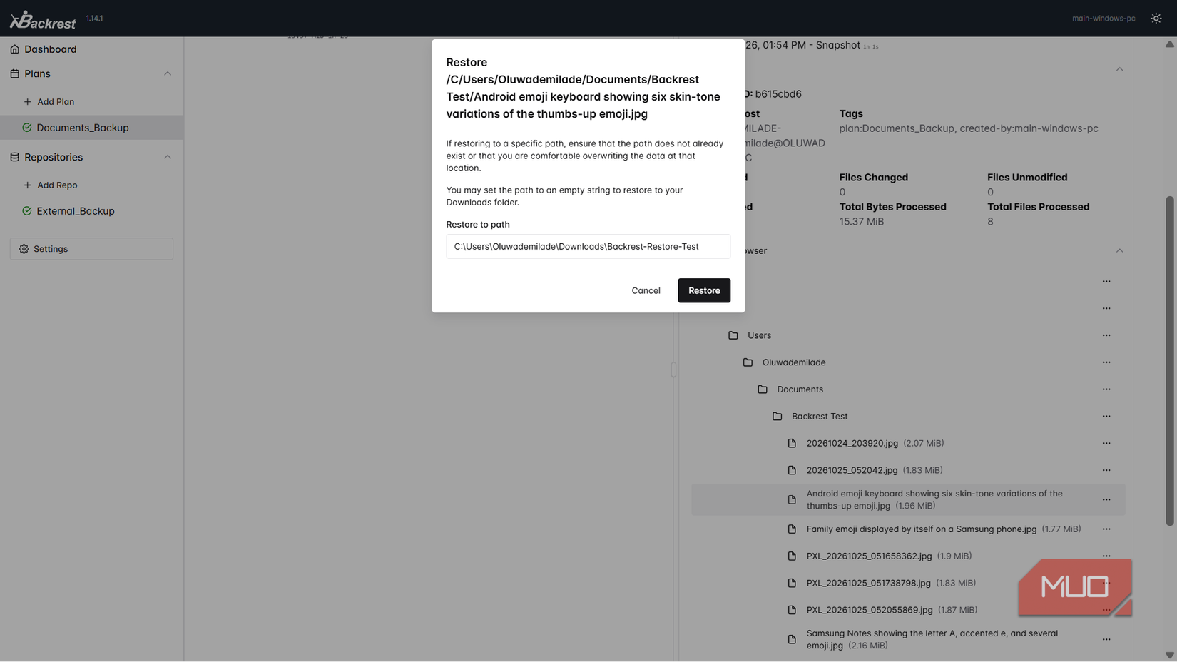 backrest-restore-file-to-path-2