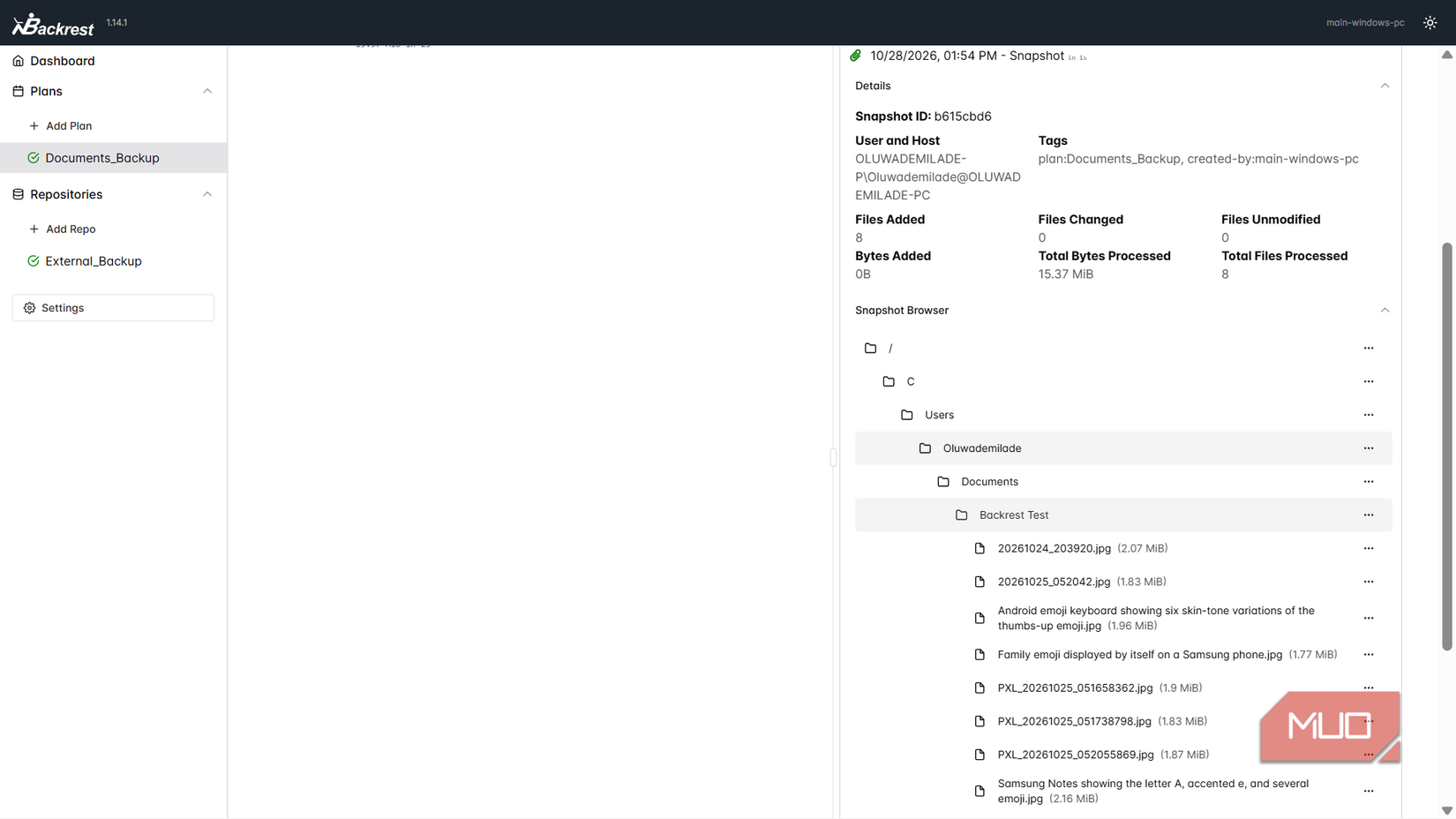 backrest-snapshot-browser-files-1