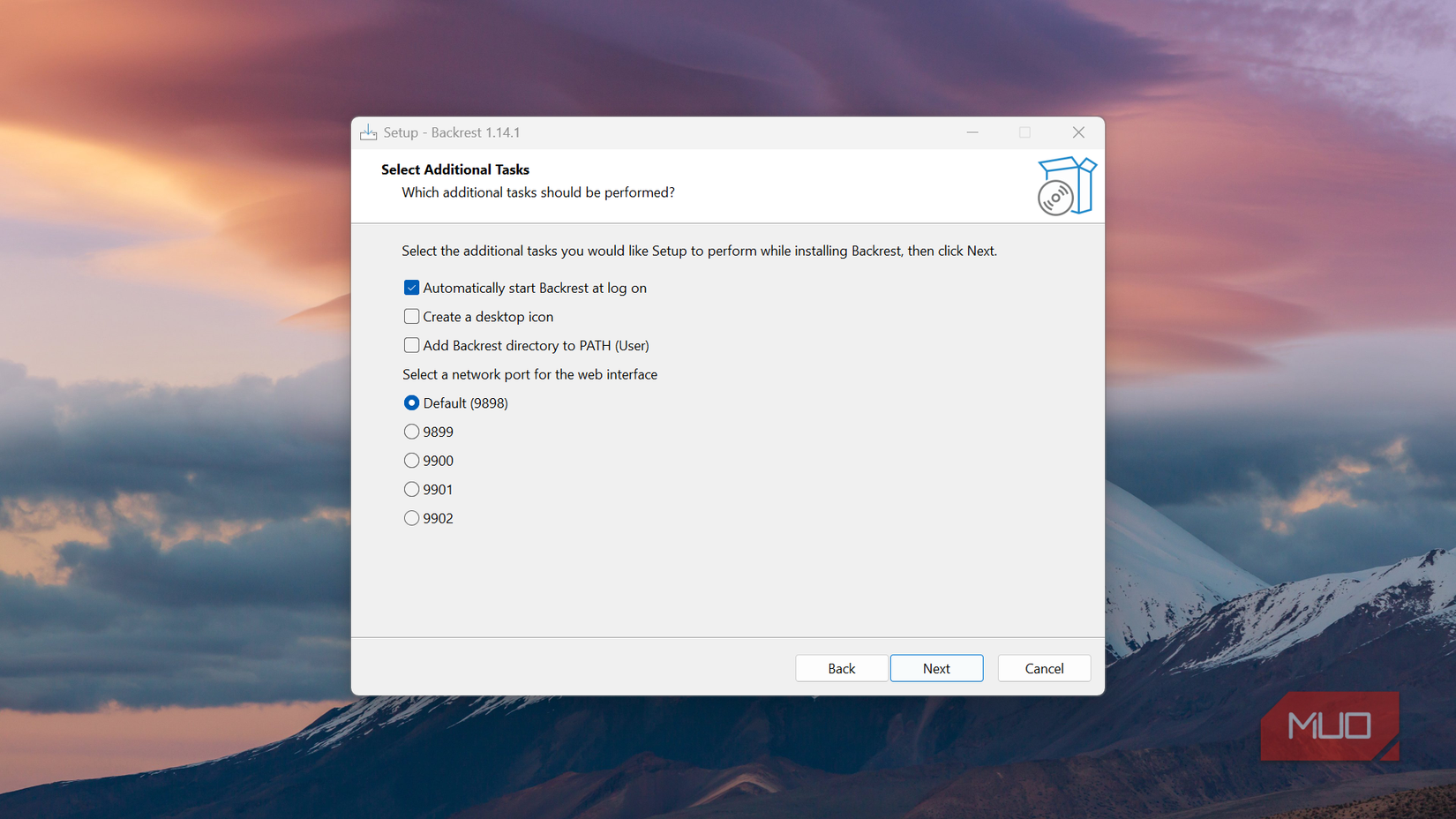 backrest-windows-installer-options