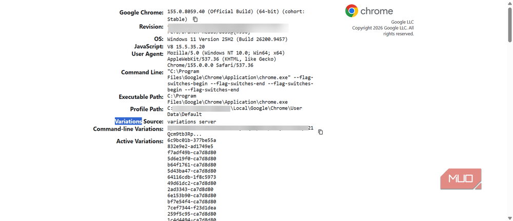 Информация о сборке и параметрах в chrome://version Страница chrome version со сведениями о сборке и параметрах запуска