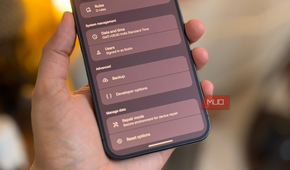 Developer Options in the Settings app on Pixel 11 Pro XL
