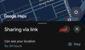 Disabling a shareable location link in Google Maps