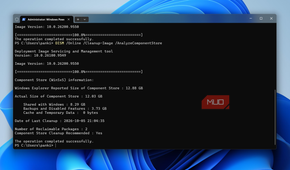 DISM command clearing WinSxS storage
