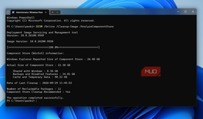 DISM command showing WinSxS storage