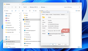 File Explorer showing WinSxS storage status