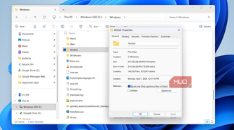 File Explorer showing WinSxS storage status