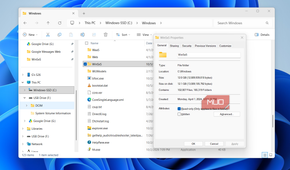 File Explorer showing WinSxS storage