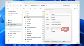 File Explorer showing WinSxS storage