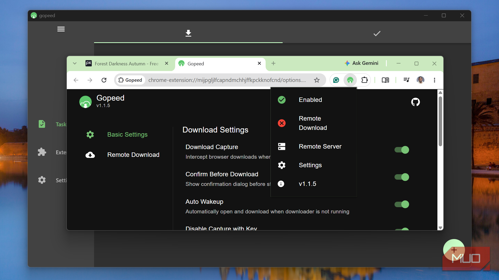 Gopeed download manager extension settings interface