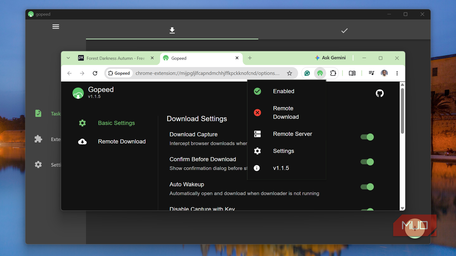 Gopeed download manager extension settings interface