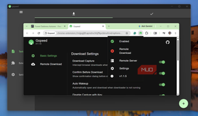 Gopeed download manager extension settings interface