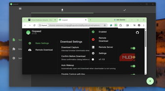 Gopeed download manager extension settings interface