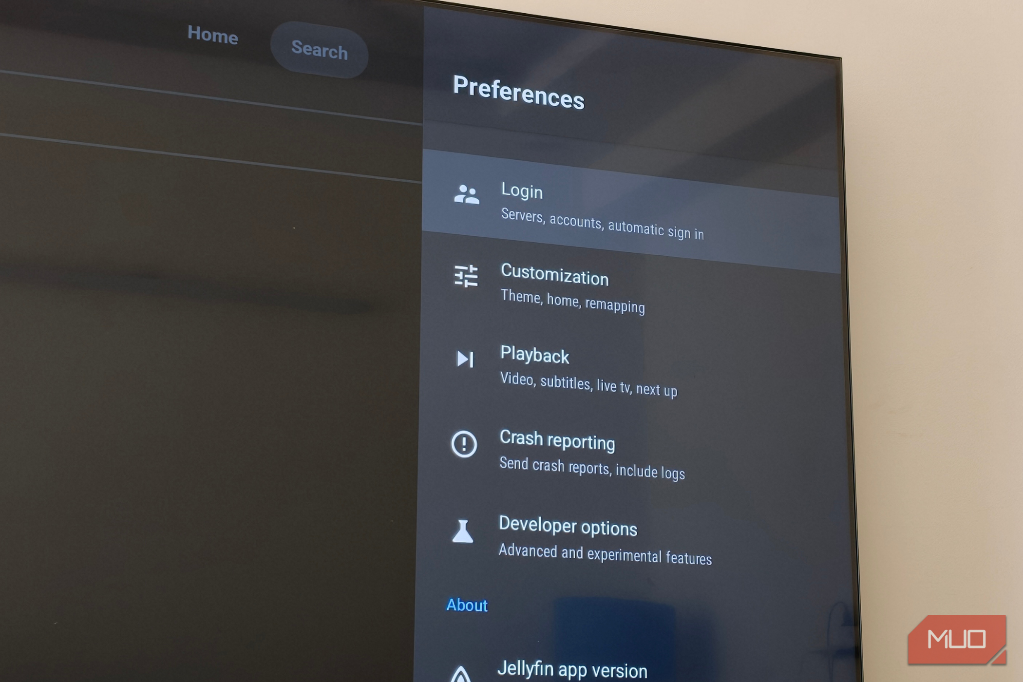 Меню настроек приложения Jellyfin на Google TV